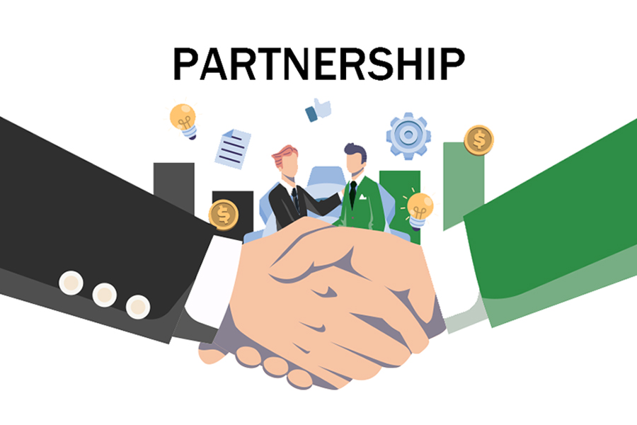 Programma-partnership